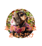 冬のあいさつ（個別スタンプ：22）