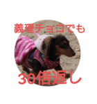冬のあいさつ（個別スタンプ：23）