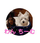 冬のあいさつ（個別スタンプ：24）