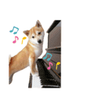 柴犬 すたんぷ part2（個別スタンプ：36）
