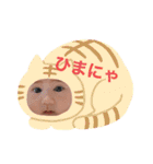 あやごり スタンプ（個別スタンプ：29）