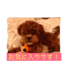 チョコ❶（個別スタンプ：7）