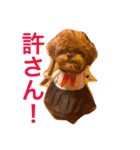 チョコ❶（個別スタンプ：19）