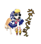 柴犬 LEO（個別スタンプ：4）