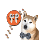 柴犬 LEO（個別スタンプ：26）