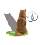 柴犬 LEO（個別スタンプ：27）