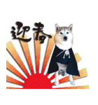 柴犬 LEO（個別スタンプ：29）