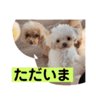 まろわた4（個別スタンプ：8）