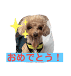 まろわた4（個別スタンプ：14）