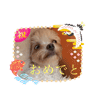 まろわた4（個別スタンプ：22）