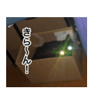 猫好きさんの為の可愛い猫スタンプ（個別スタンプ：9）