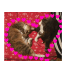 猫好きさんの為の可愛い猫スタンプ（個別スタンプ：18）