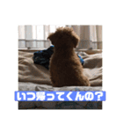 ガウガウあるこくん1（個別スタンプ：5）