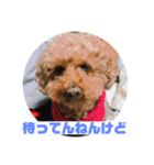 ガウガウあるこくん1（個別スタンプ：11）