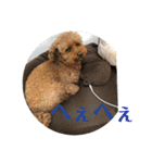 ガウガウあるこくん1（個別スタンプ：18）