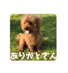 ガウガウあるこくん1（個別スタンプ：20）