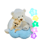 ポメラニアン ルナちゃん♡（個別スタンプ：10）
