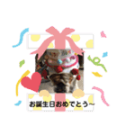 一球家は子沢山♡♡♡（個別スタンプ：11）
