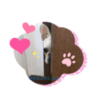 一球家は子沢山♡♡♡（個別スタンプ：20）