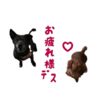 ちびブース2（個別スタンプ：1）