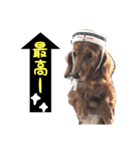 ちびブース2（個別スタンプ：5）