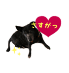 ちびブース2（個別スタンプ：6）