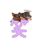 ちびブース2（個別スタンプ：8）