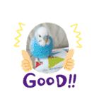 ドラちゃん①（個別スタンプ：1）