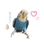 ドラちゃん①（個別スタンプ：2）