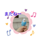 ドラちゃん①（個別スタンプ：7）
