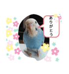 ドラちゃん①（個別スタンプ：10）