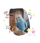 ドラちゃん①（個別スタンプ：15）