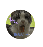 可愛い小麦ちゃん（個別スタンプ：2）