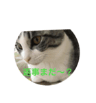 可愛い小麦ちゃん（個別スタンプ：8）
