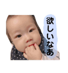 うちのあおちゃん。⑦（個別スタンプ：4）