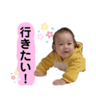 うちのあおちゃん。⑦（個別スタンプ：6）