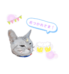 あゆちゃんのスタンプ1（個別スタンプ：4）