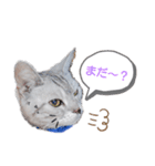 あゆちゃんのスタンプ1（個別スタンプ：7）