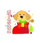 柴犬とトイプードルのクリスマスとお正月（個別スタンプ：17）