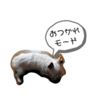 ルイとベス（個別スタンプ：7）