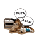 ルイとベス（個別スタンプ：10）