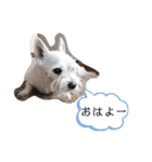 ルイとベス（個別スタンプ：11）