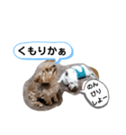 ルイとベス（個別スタンプ：13）
