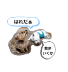 ルイとベス（個別スタンプ：14）