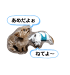 ルイとベス（個別スタンプ：16）