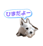 ルイとベス（個別スタンプ：23）