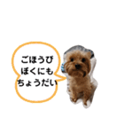 ルイとベス（個別スタンプ：26）