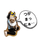 ルイとベス（個別スタンプ：28）