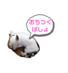 ルイとベス（個別スタンプ：30）