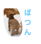 ルイとベス（個別スタンプ：32）